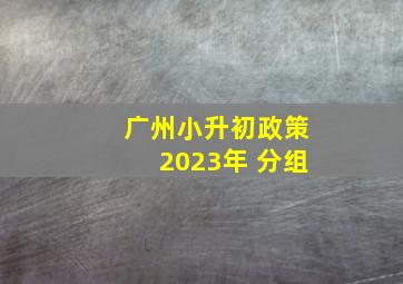 广州小升初政策2023年 分组